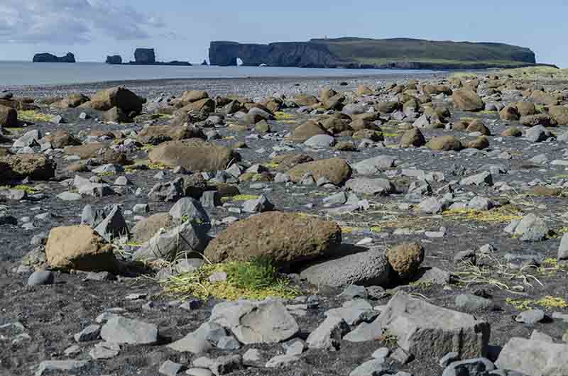 Islandia 137 - reserva natural de Dyrholaey - acantilados de Dyrholaey y playa de Reynisfjara.jpg
